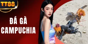 Đá Gà Campuchia - Tìm Hiểu Chi Tiết Về 5 Quy Định Chung
