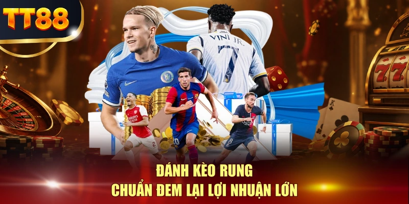 Đánh kèo rung chuẩn đem lại lợi nhuận lớn