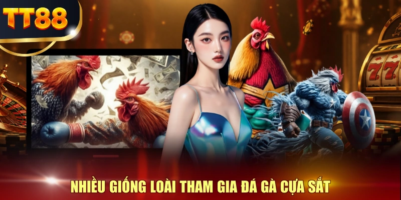 Nhiều giống loài tham gia đá gà cựa sắt