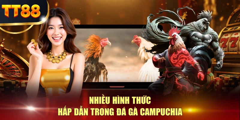 Nhiều hình thức hấp dẫn trong đá gà Campuchia